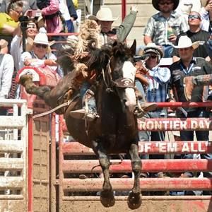 Meet your Posher, Louis